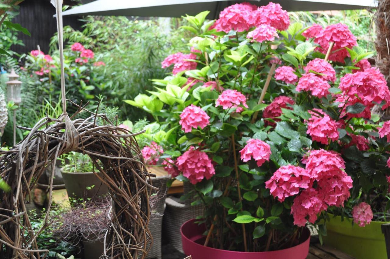 Hofgarten Rosa Ilbesheim bei Landau in der Pfalz Zewnętrze zdjęcie