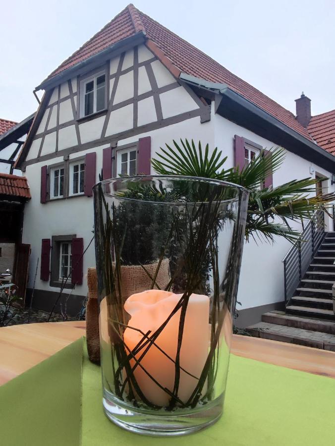 Hofgarten Rosa Ilbesheim bei Landau in der Pfalz Zewnętrze zdjęcie