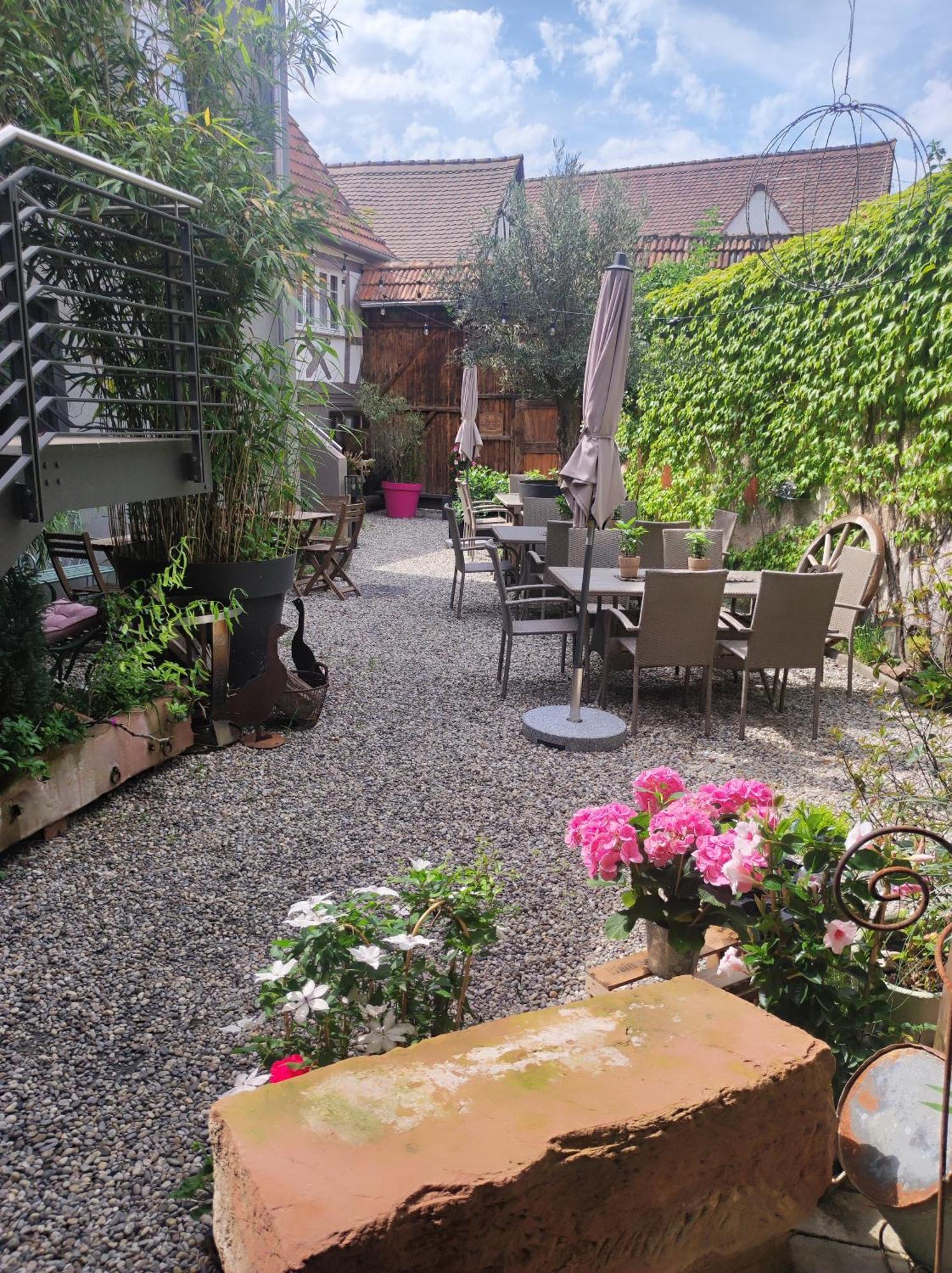 Hofgarten Rosa Ilbesheim bei Landau in der Pfalz Zewnętrze zdjęcie