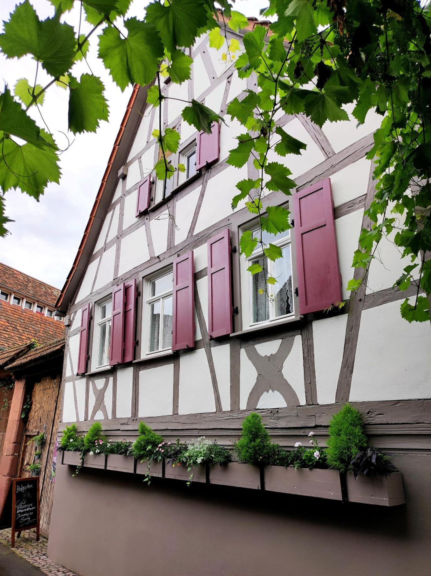 Hofgarten Rosa Ilbesheim bei Landau in der Pfalz Zewnętrze zdjęcie