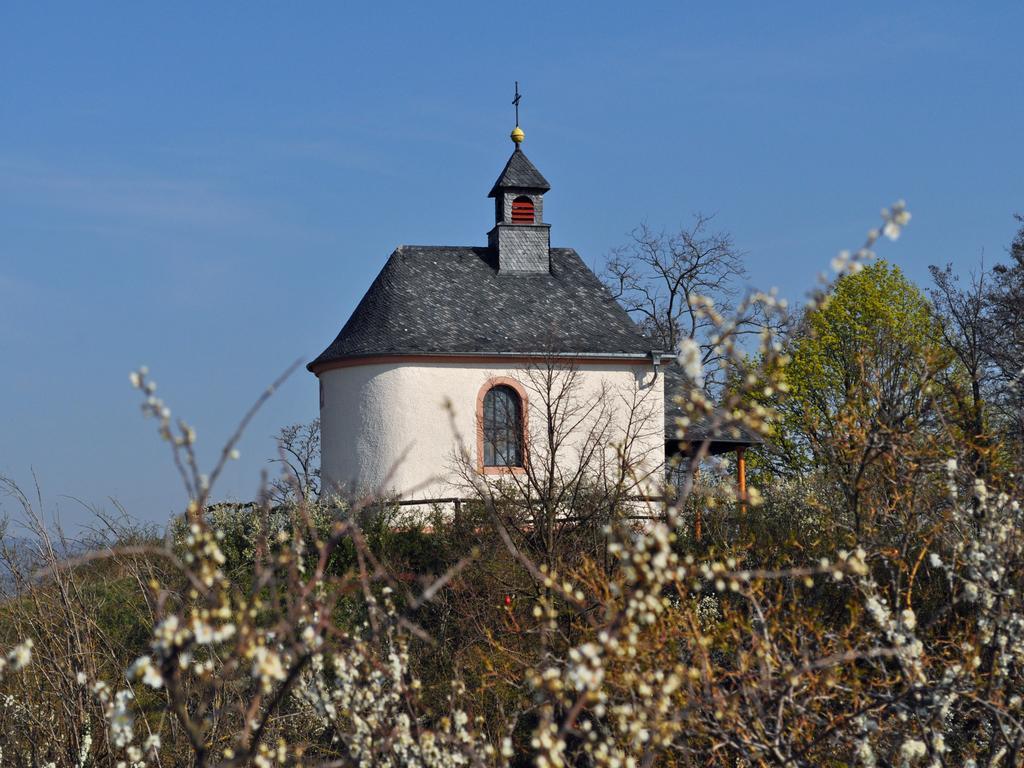 Hofgarten Rosa Ilbesheim bei Landau in der Pfalz Zewnętrze zdjęcie