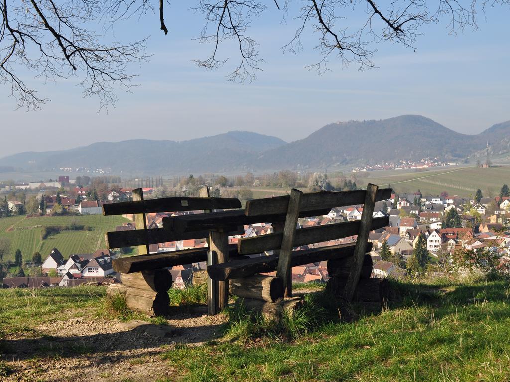 Hofgarten Rosa Ilbesheim bei Landau in der Pfalz Zewnętrze zdjęcie