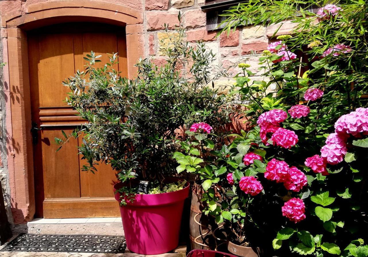 Hofgarten Rosa Ilbesheim bei Landau in der Pfalz Zewnętrze zdjęcie